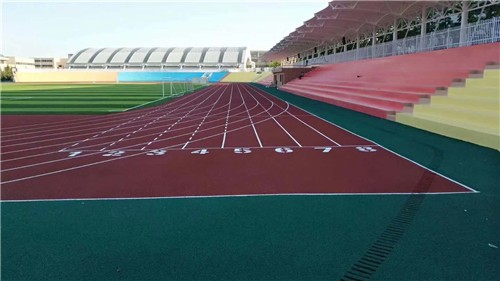 塑膠跑道案例大連外國語學院